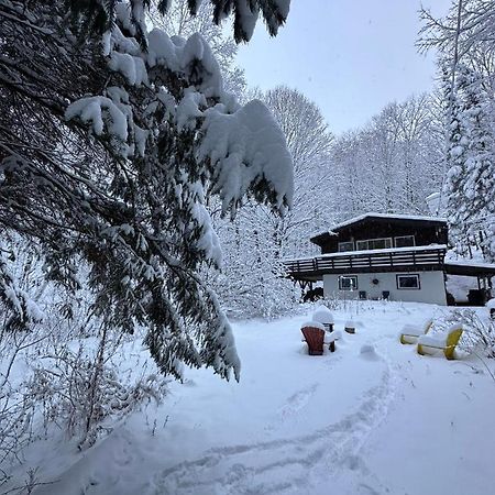 Chalet Dans Les Arbres. 3 Ch. /Trees House 3Bdr Lac Sainte-Marie Extérieur photo